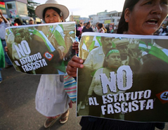 bolivians-fight-back_anti_fascism_small.jpg